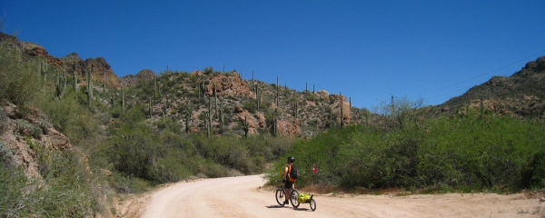 Stefano à vélo avec la remorque Bob Ibex sur le Apache Trail, près de Phoenix, dans l'Arizona.