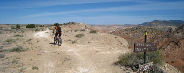 Dragon's Back on White Ridge Mountain Bike Trail System