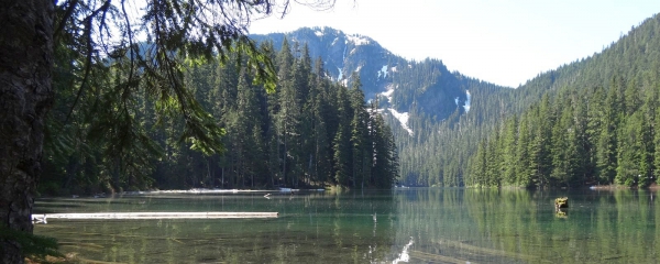 Lake George, au Mount Rainier National Park.