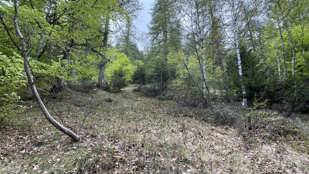 Sentier qui monte à Deccia depuis Booch.